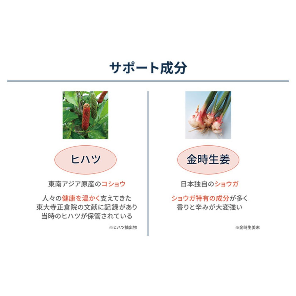 保阪流極ナットウキナーゼ