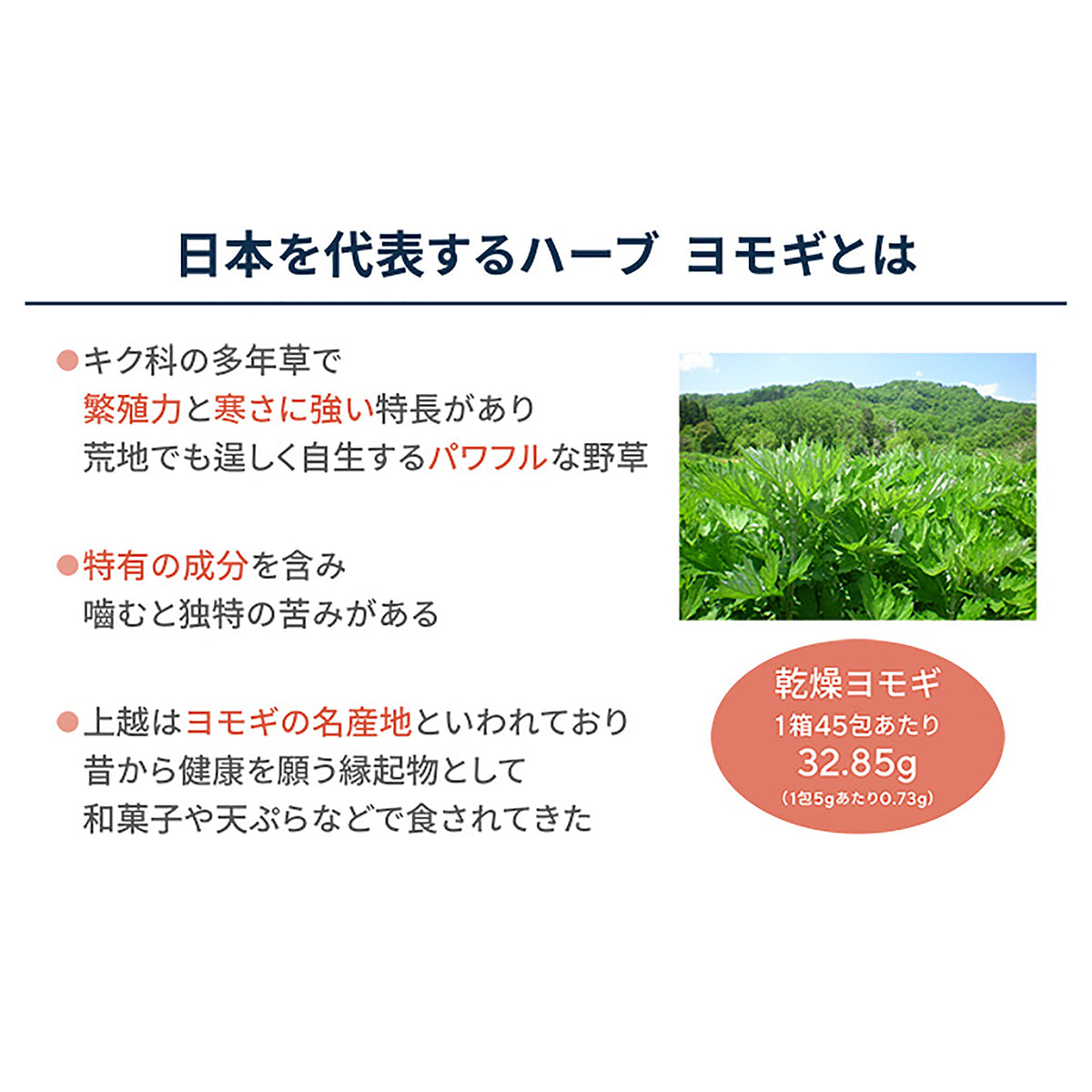 保阪流極おはよう酵素
