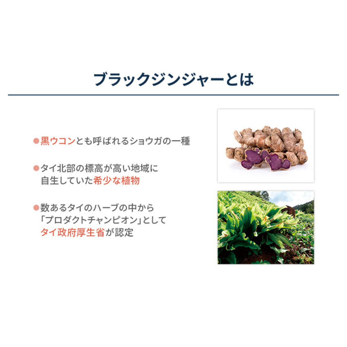 保阪流極すらり生活45日分