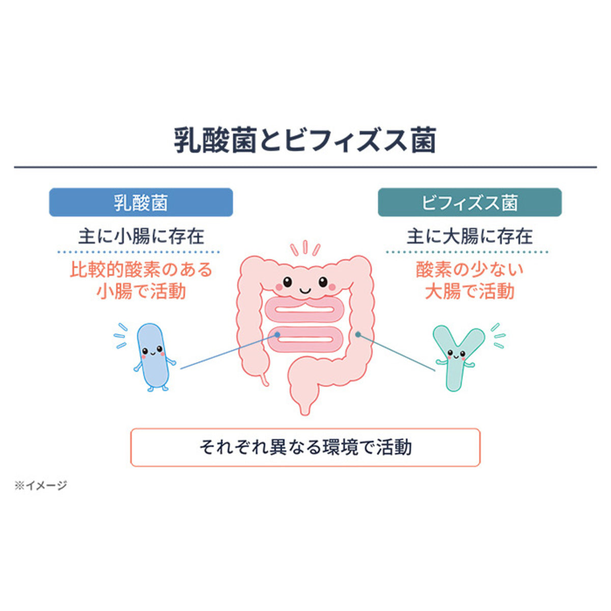 保阪流極 兆勝 約30日分