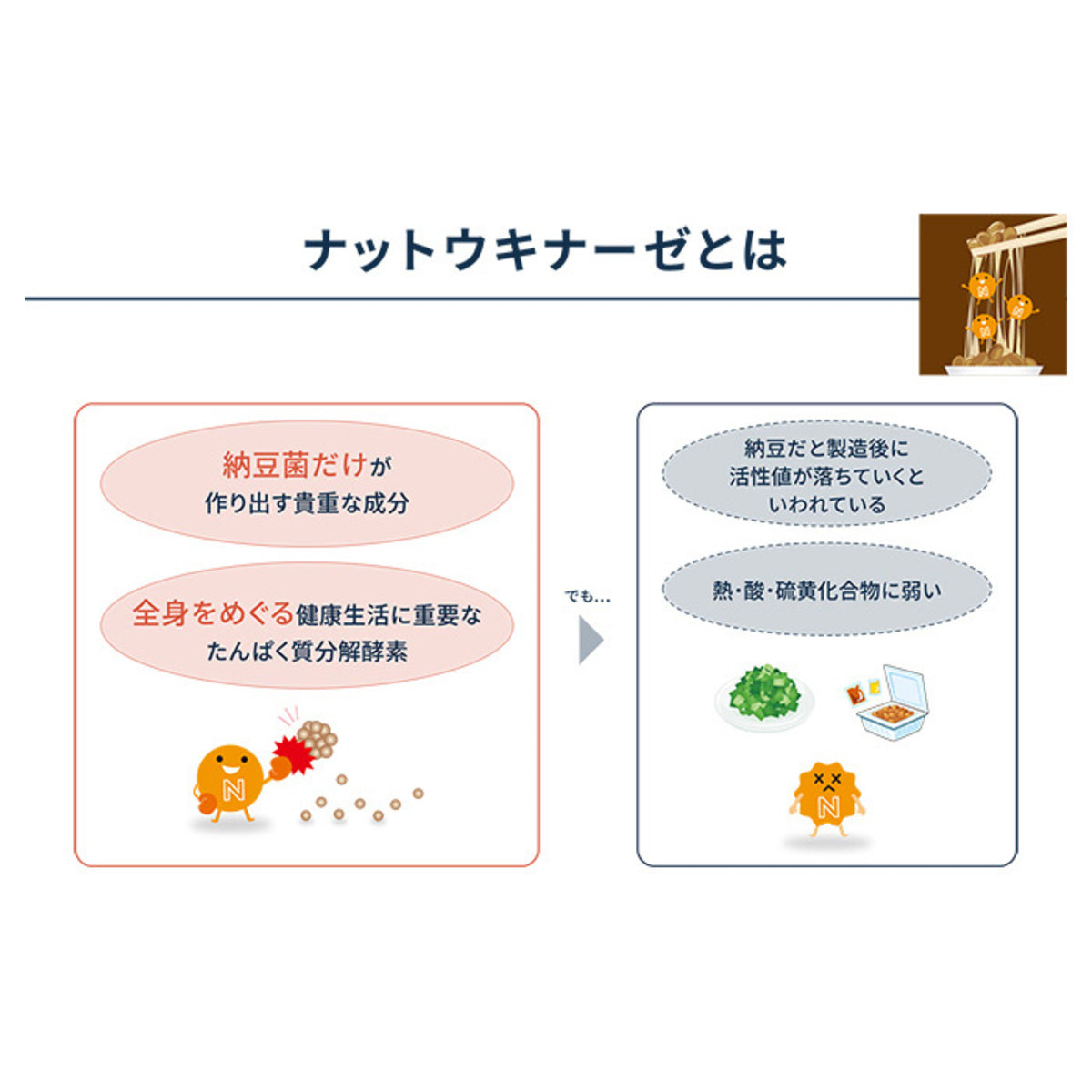 保阪流極ナットウキナーゼ