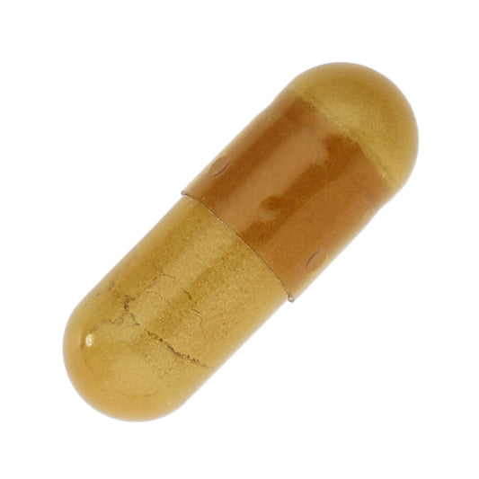 保阪流極ナットウキナーゼ