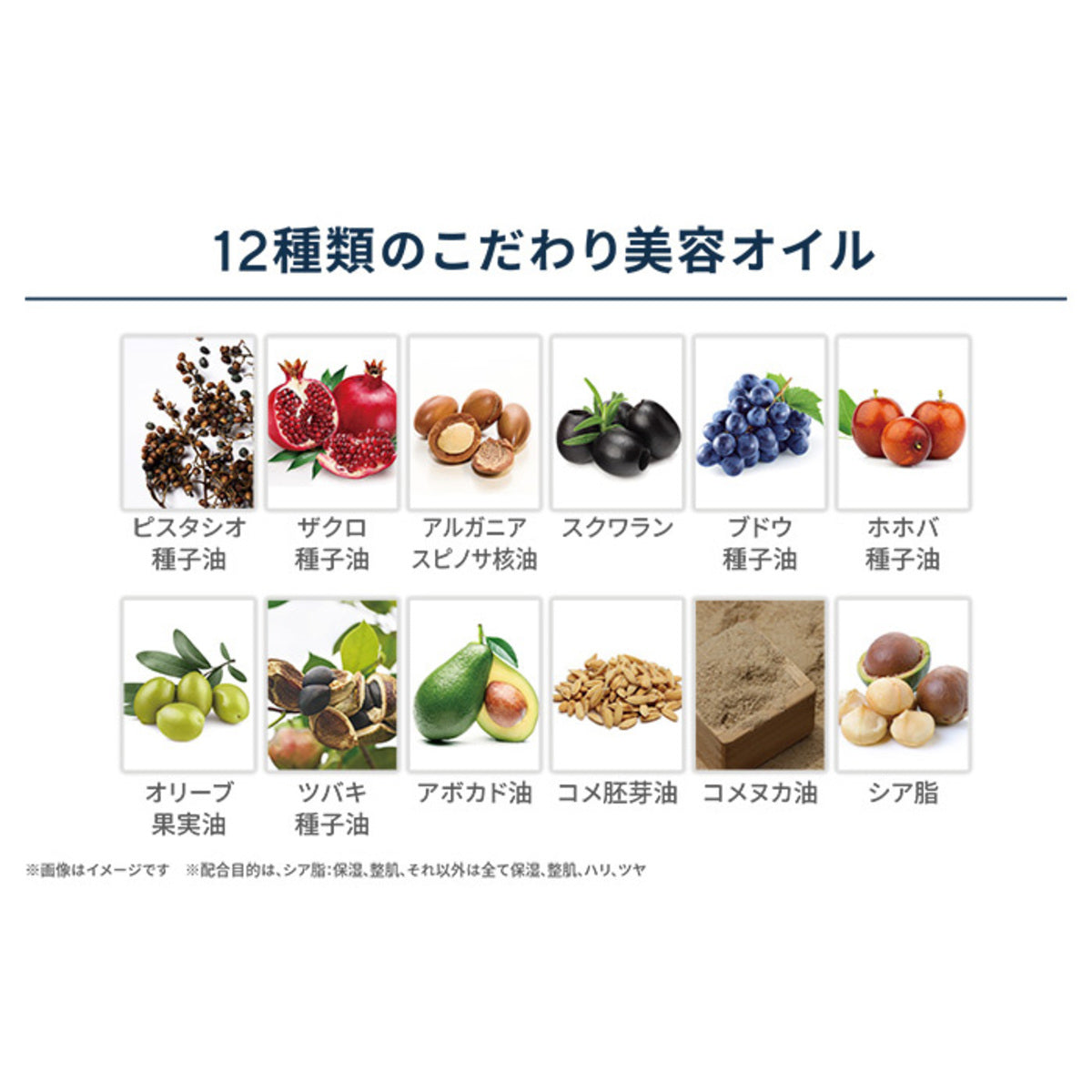 保阪流ビューティー ロイヤルモイスチャースパ1kg