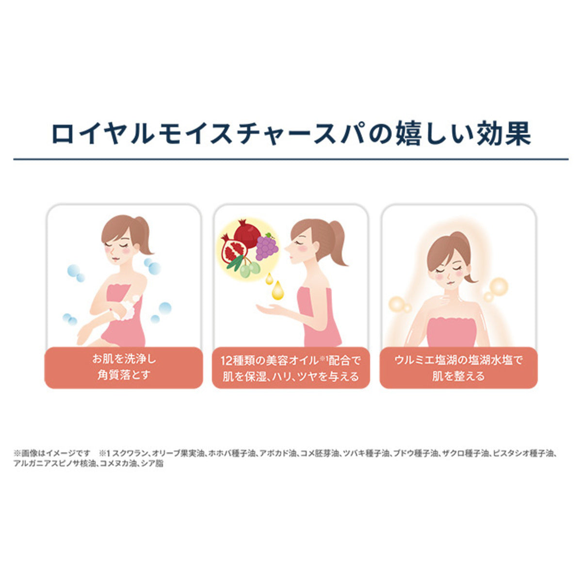 保阪流ビューティー ロイヤルモイスチャースパ1kg