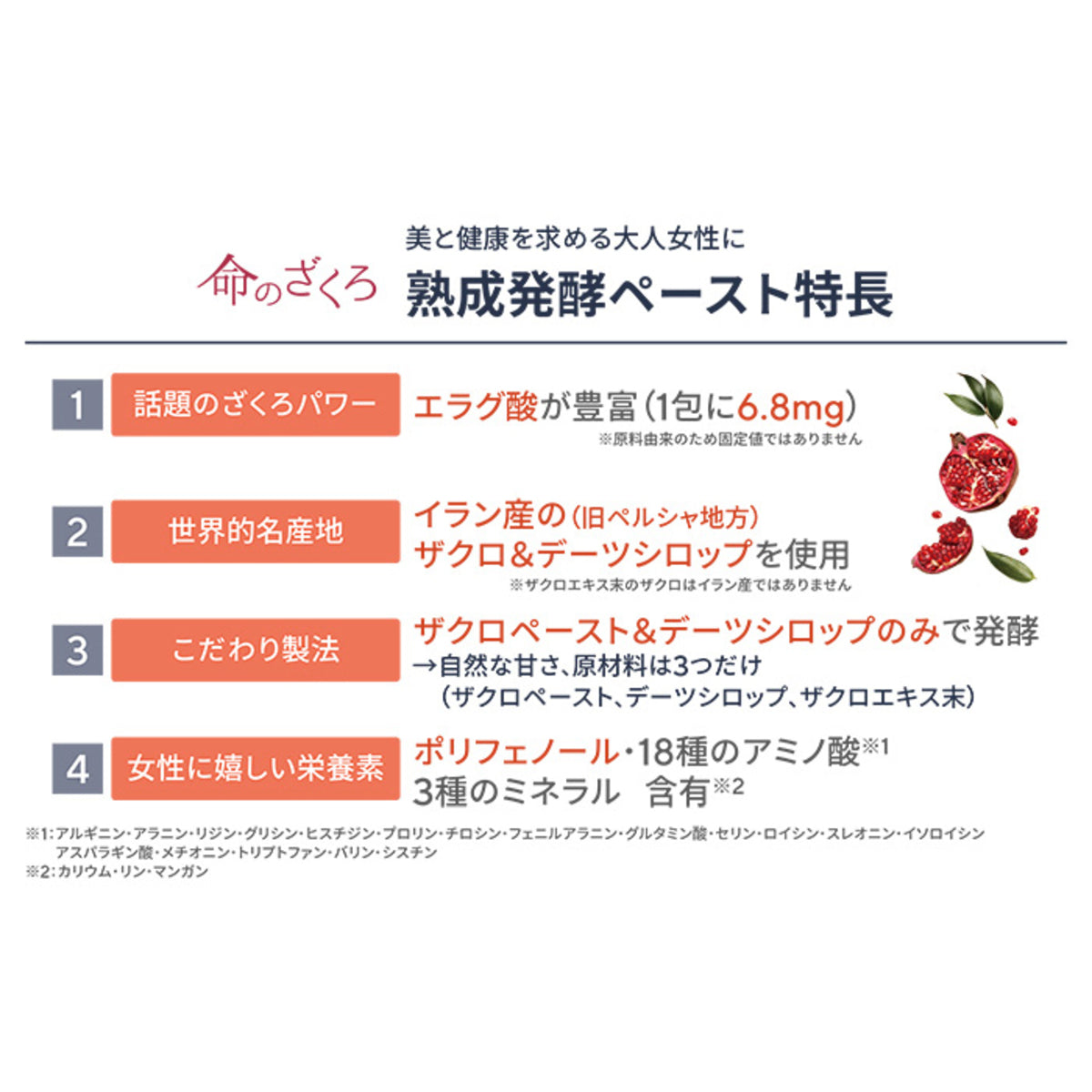 命のザクロ 熟成発酵ペースト 30包