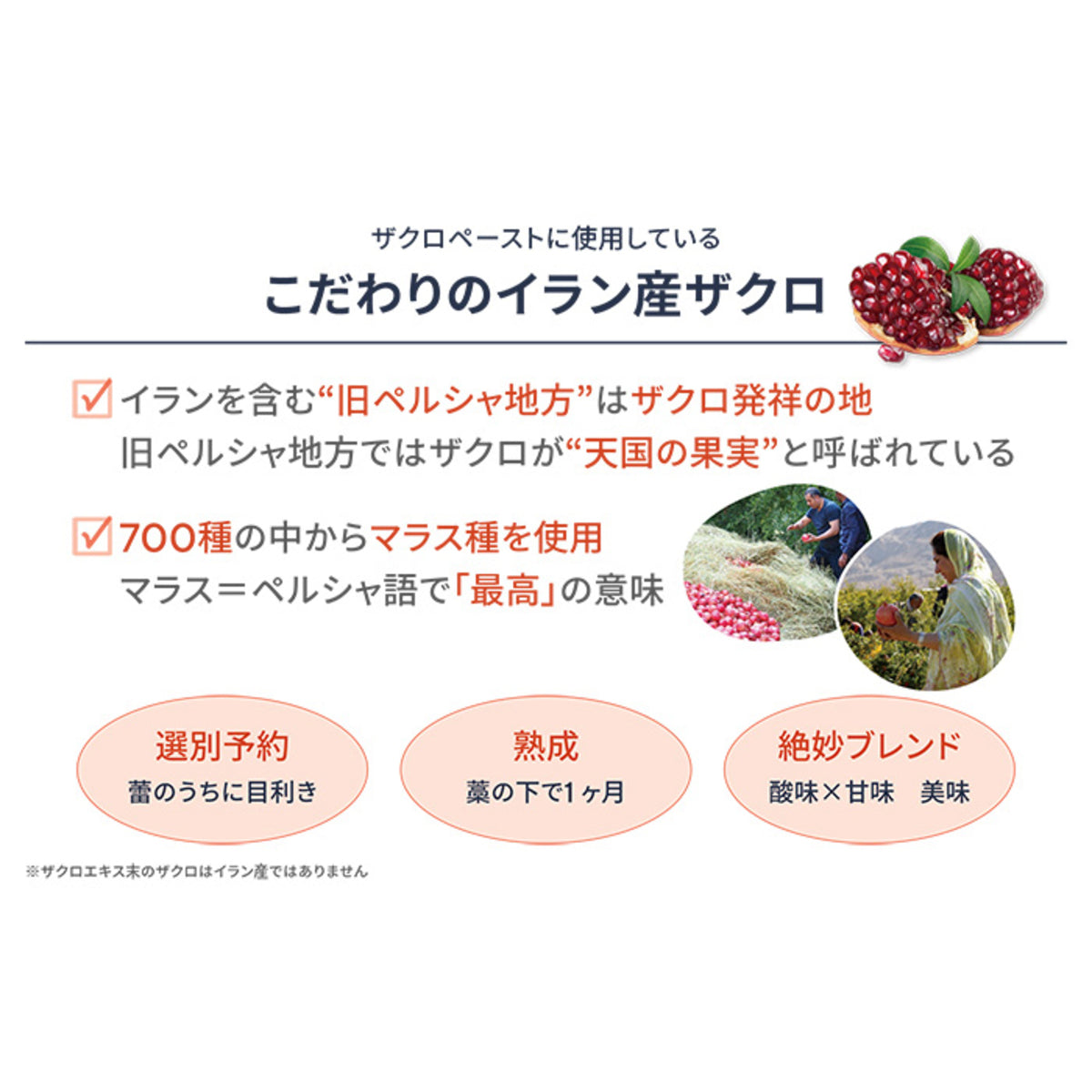 命のザクロ 熟成発酵ペースト 30包