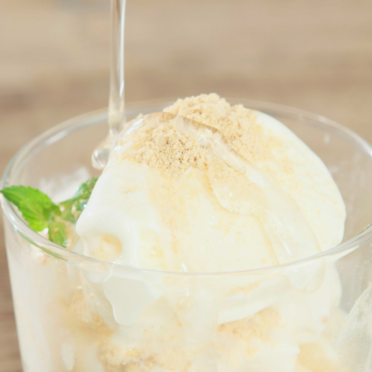 保阪流フラクトオリゴ糖乳酸菌Plus4本セット