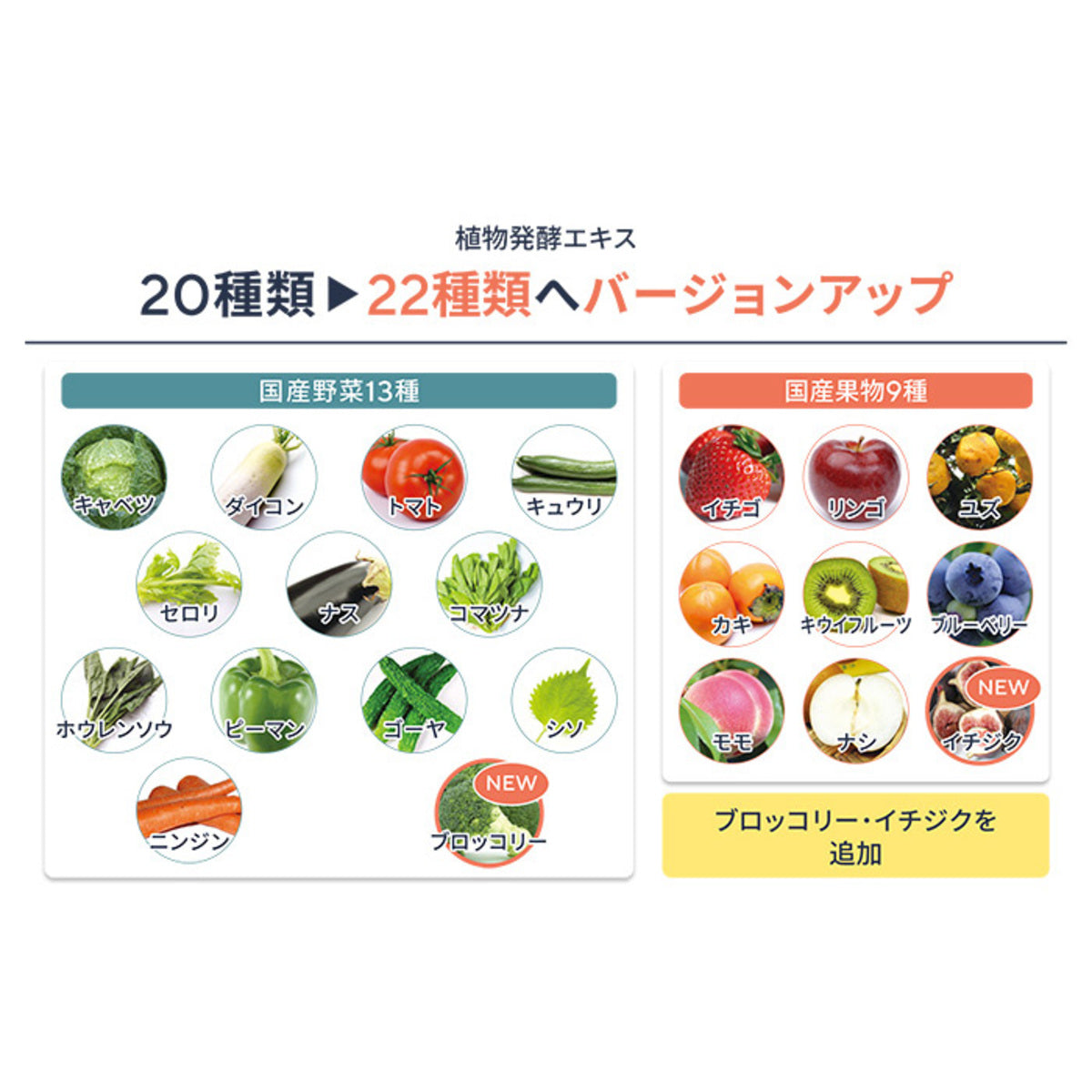 保阪流ファスティングBEAUTYPLUS ROYAL2本セット – 保阪流ONLINE