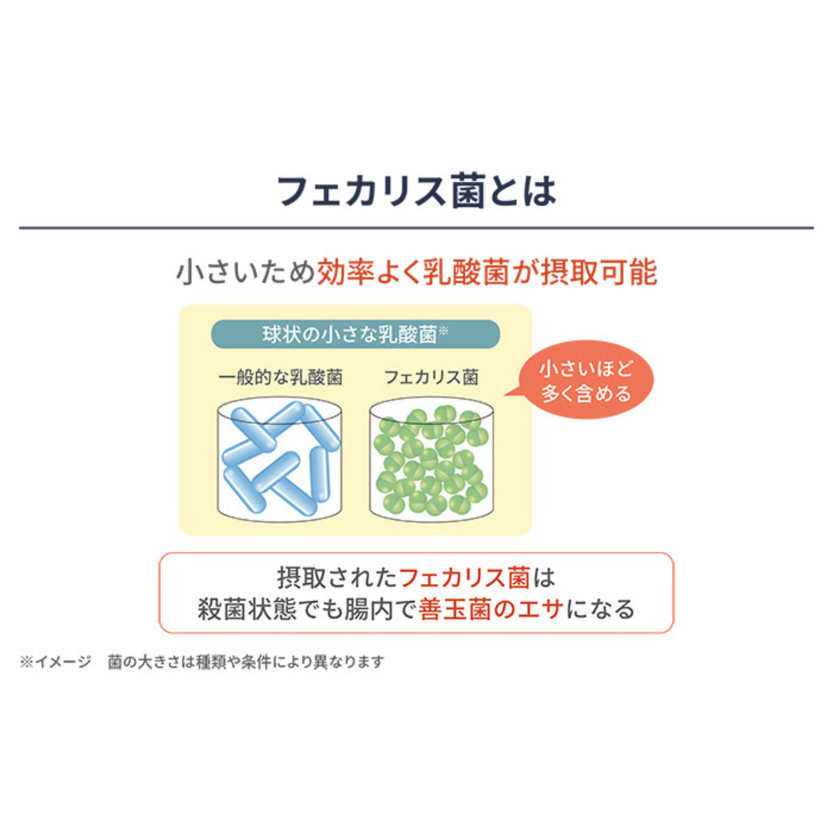 保阪流極 兆勝 約30日分